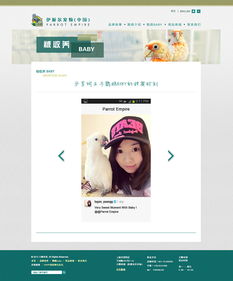 寵物用品網(wǎng)站設計 打造貼心便捷的在線購物體驗